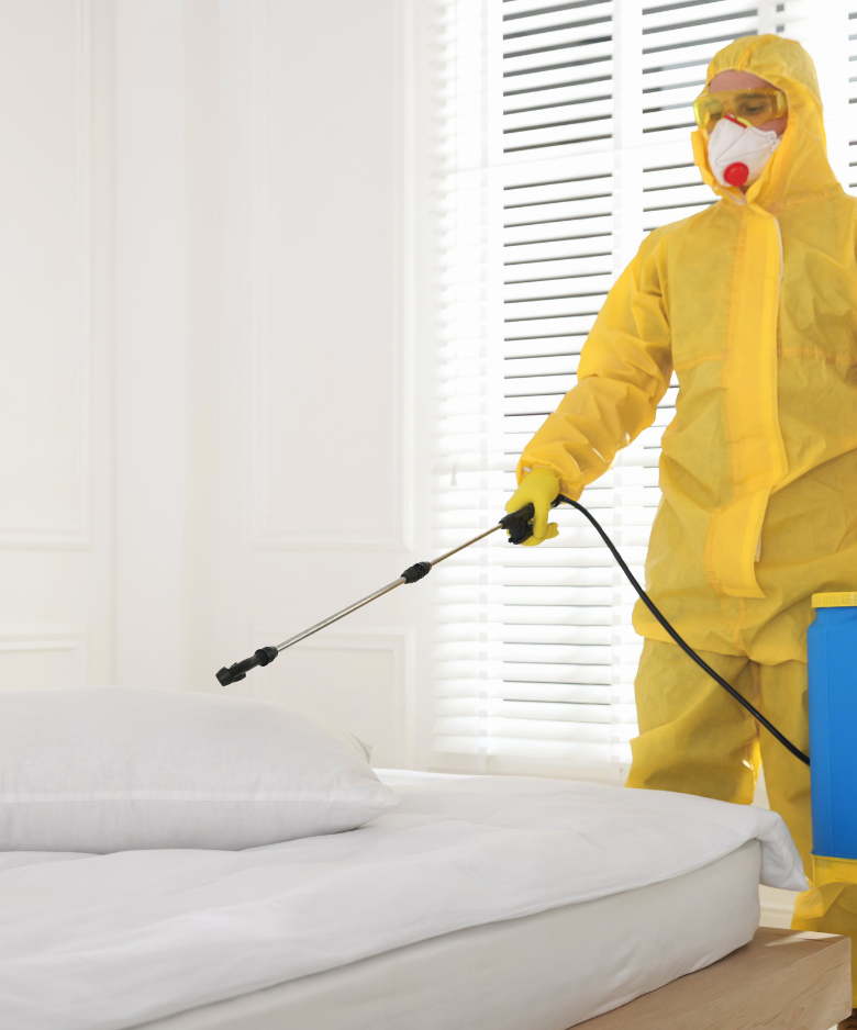 Professional Pest Control Team in Lockleys